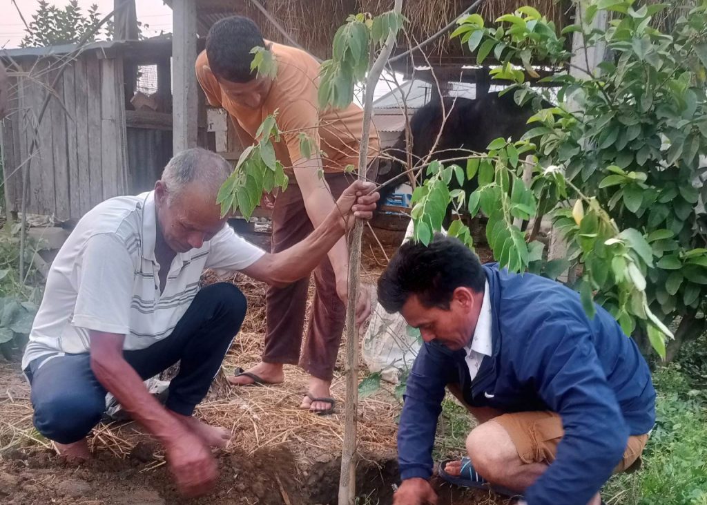 कमान सिंह भुजेलको स्मृतिमा वृक्षारोपण