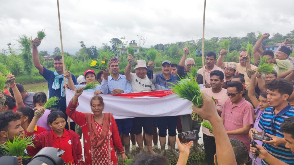 नेपाल कम्युनिस्ट पार्टीद्वारा देशका विभिन्न ठाउँमा रोपाइँ उद्घाटन (फोटो फिचर)