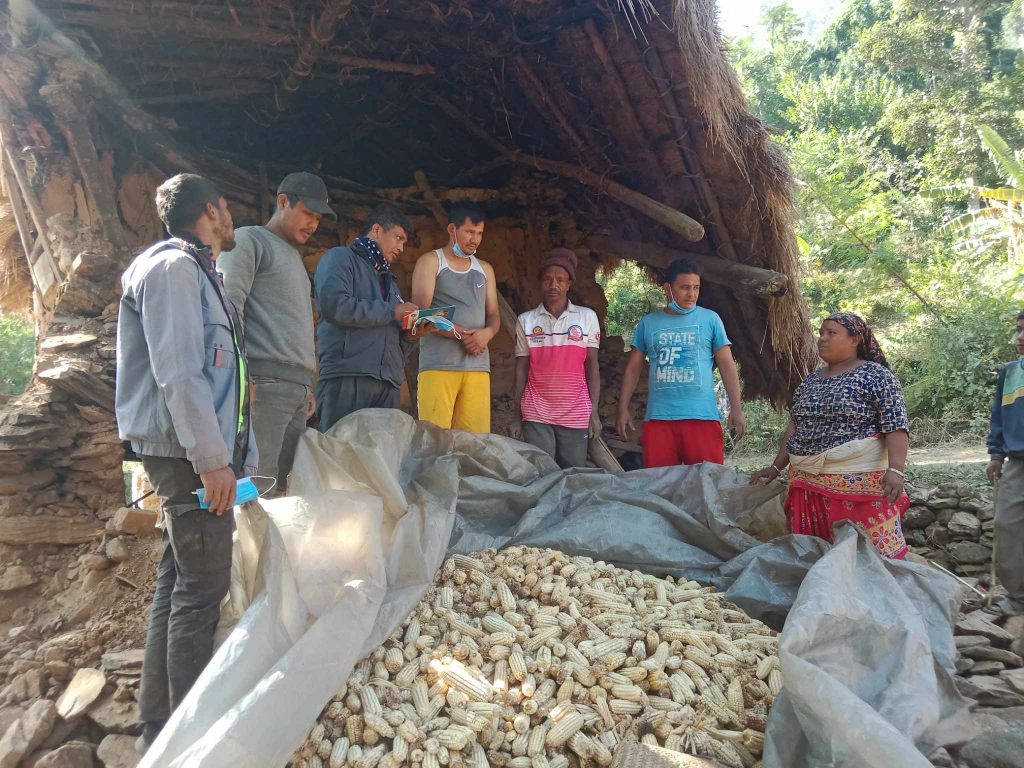 जाजरकोटमा भूकम्प पीडितको उद्धारमा युवा संगठनको टिम
