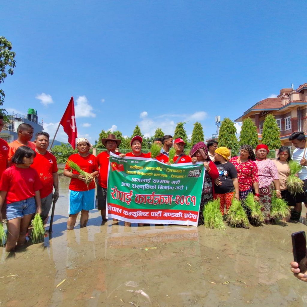 नेपाल कम्युनिस्ट पार्टी गण्डकी प्रदेशले धान रोपाइँको उद्घाटन गर्‍यो 