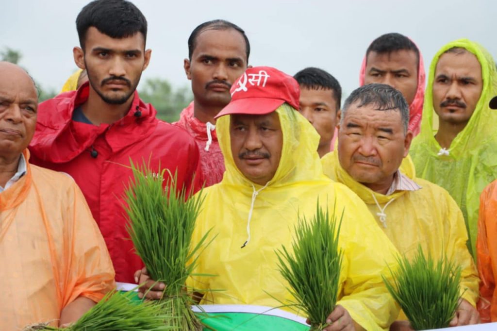 चितवनमा महासचिव विप्लवको नेतृत्वमा रोपाइँ महोत्सव