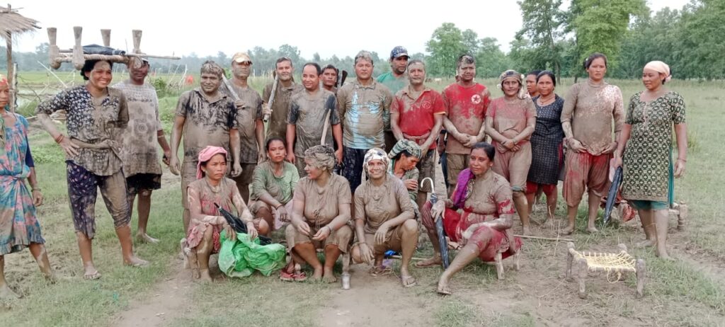 नेकपाद्वारा सुदुरपश्चिममा १४  बिघामा धान रोपाइँ