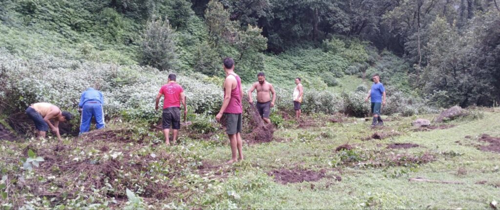 नेकपा डोटीद्वारा ५ सय बेर्ना सुन्तला वृक्षारोपण