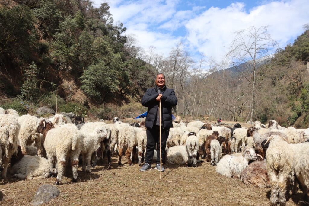 विप्लवले भेडा फर्मको उद्घाटन गर्दै भने ‘मरुभूमिमा भेडा पालेर होइन नेपालमै पाल्नुपर्छ’