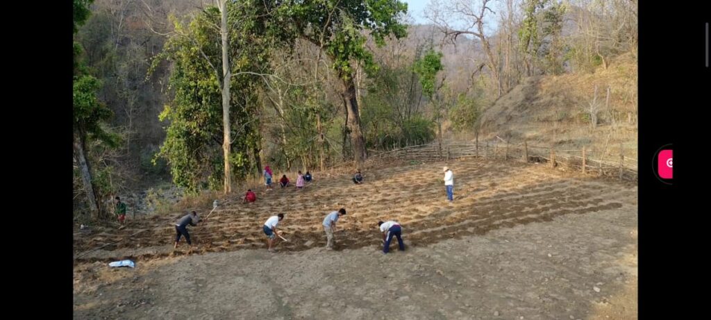 व्यवसायिक उत्पादन आत्मनिर्भरताका लागि अनिवार्य : विप्लव सी