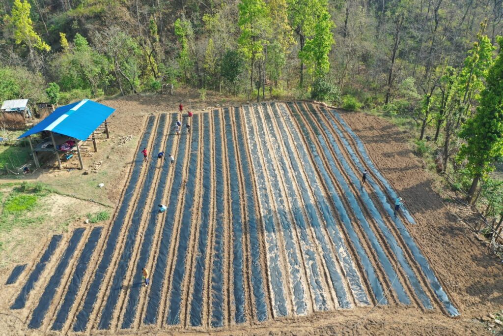 आत्मनिर्भरताको लक्ष्यलाई व्यवसायिक उत्पादनमा विस्तार गर्ने विप्लवकाे घोषणा