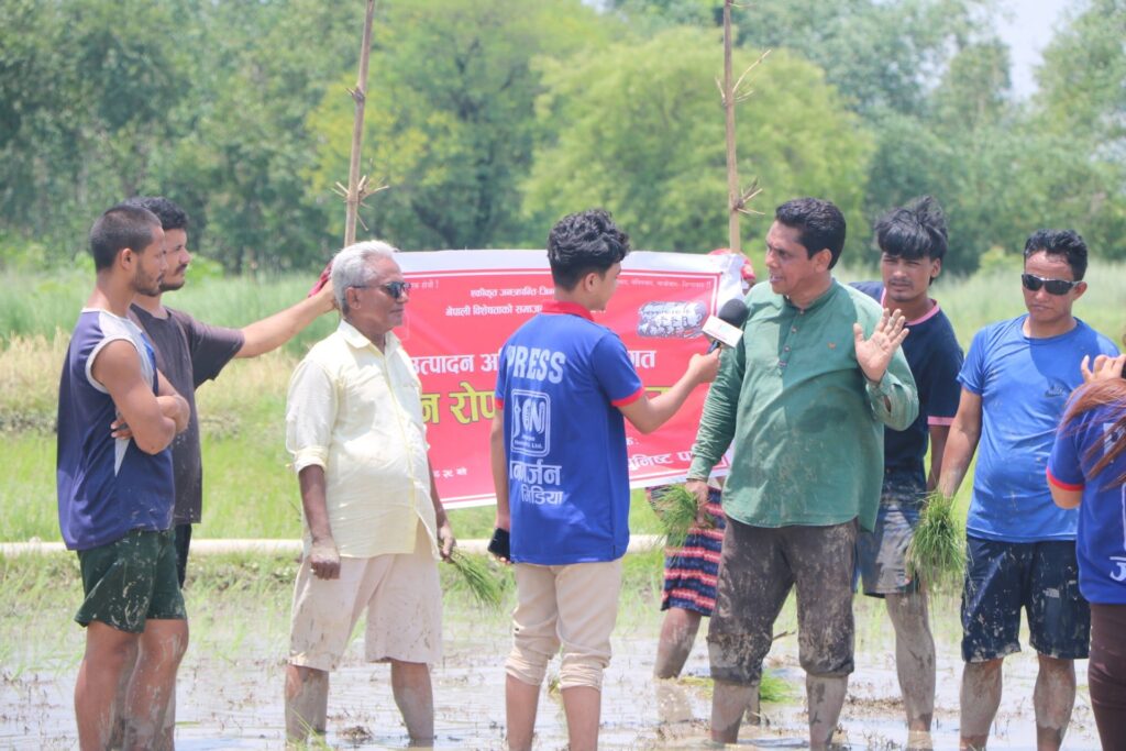 बाँकेमा नेकपा प्रवक्ता प्रकाण्डको  सहभागिता २ विगाह खेतमा धान रोपाई
