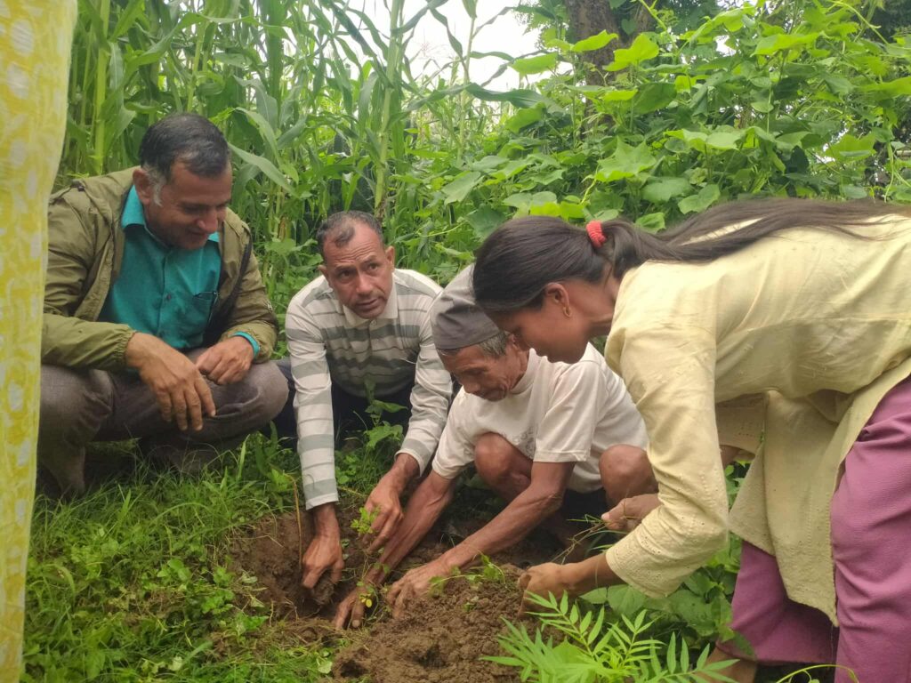 आमा झुपी चौधरीको स्मृतिमा वृक्षारोपण